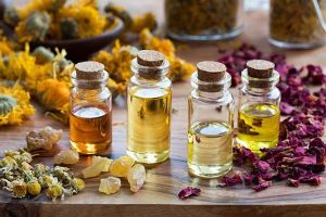 مشک چیست؟ و چه کاربردی در عطرسازی دارد؟